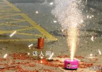 深圳:不宜解除烟花爆竹燃放禁令