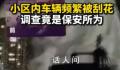 物业公司回应保安深夜刮车 属个人行为将和受损车主进行协商赔偿