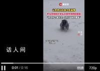 女生考完4级遇暴雪手脚并用爬回寝室 看不到台阶确实爬着更安全