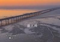 钱塘江现冰雪潮汐树 画面美轮美奂