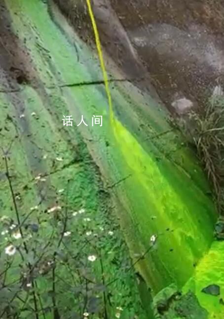 公园管道排出绿色液体 官方回应