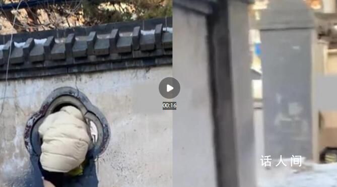 女子拿快递为抄近路每次都钻洞 网友：你是一点也不往旁边看啊