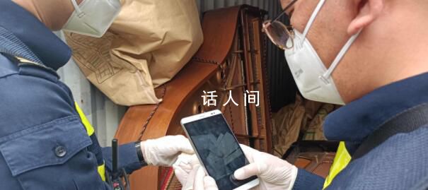 上海海关查获象牙琴键507克 洋山海关已对货物依法暂扣