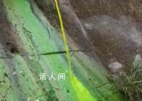 公园管道排出绿色液体 官方回应