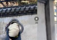 女子拿快递为抄近路每次都钻洞 网友：你是一点也不往旁边看啊