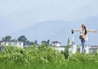 《去有风的地方》获200万元补助 不一样的云南宣传片带火大理