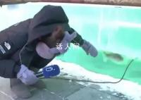 哈尔滨冰雕含鱼量极高 冰块中有冻住的鱼
