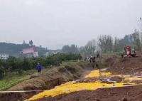 重庆6名村民疑似气体中毒 3人死亡