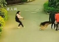 大型犬突然冲出紧咬散步小孩不放 主人拉都拉不住