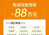 暗访广州一代孕灰产机构 广州市卫健委表示会尽快转派相关部门