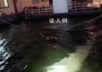 柳州回应江上有百米长不明漂浮物 具体情况会进一步调查