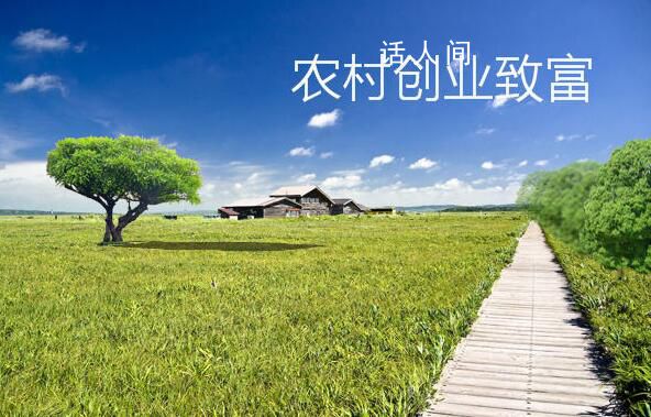 农村创业项目大全排行榜 农村创业点子大全