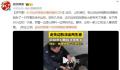 1只边牧被救咕噜咕噜变3只 生下两只小边牧