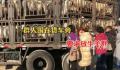 中年男女站在载羊货车旁要求放生 不评价行为只关心交易