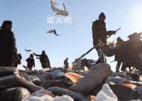 查干湖好运头鱼拍出1399999元 由河南省商丘农产品中心拍得