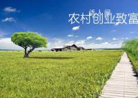 农村创业项目大全排行榜 农村创业点子大全