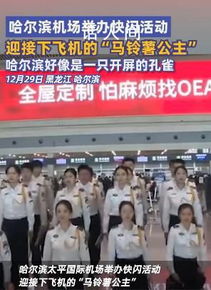 哈尔滨机场快闪迎接马铃薯公主 哈尔滨好像一只开屏的孔雀