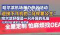 哈尔滨机场快闪迎接马铃薯公主 哈尔滨好像一只开屏的孔雀