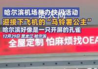 哈尔滨机场快闪迎接马铃薯公主 哈尔滨好像一只开屏的孔雀