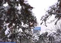 明年1月有4次冷空气影响我国 影响我国的冷空气过程主要有4次