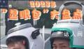 2023年“显眼包”大合集 带来加倍的快乐