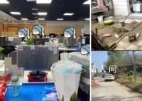 公司为裁员从CBD搬进秦岭山区 进山只是暂时过渡