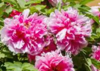 30秒看故宫的春夏秋冬 描写故宫的春夏秋冬