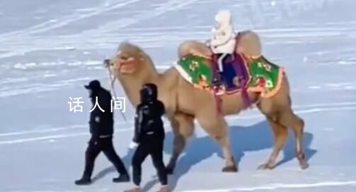 哈尔滨雪地里有骆驼了 以前从来没有这些项目