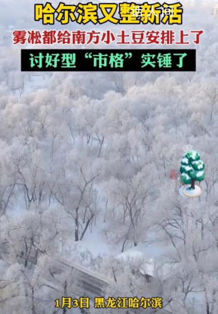 哈尔滨“讨好型市格”实锤 出租车司机都开始温柔待人了