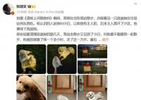 张颂文领养了流浪狗 开启了他们之间一段充满爱与温暖的旅程