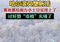哈尔滨“讨好型市格”实锤 出租车司机都开始温柔待人了