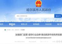 哈尔滨爆火官方坦言已准备一年 哈尔滨爆火出圈不是偶然