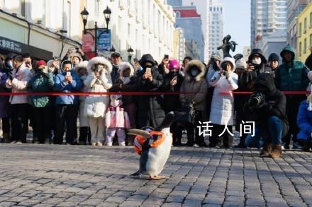 哈尔滨旅游是如何火出圈的 哈尔滨旅游为什么这么火