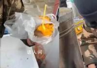 东北大哥卖烤地瓜给外地游客配勺 用不用给你们掰开用勺子吃