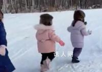 云南小蘑菇开始玩雪了 五颜六色的小菌子太可爱了