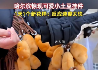 哈尔滨惊现小土豆挂件 圆圆乎乎超级可爱