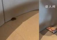 幼儿园突然闭园?教育部门:正调查