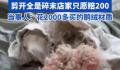 女子称波司登羽绒服剪开全是碎末 店家只愿赔200