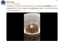 尔滨把冻梨做出花来了 哈尔滨又双叒叕整新活儿