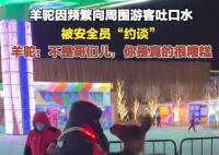 羊驼因频繁吐口水被安全员“约谈” 网友：这位羊驼你可长点心吧