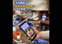 义乌回应被网友催产狍角帽 马上安排