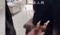 女生讨要抚养费被亲戚打流产 双方发生肢体冲突