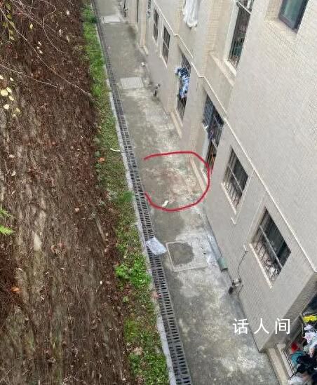 女生校内坠亡 家属:她没有轻生迹象
