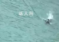 妻子跳江 丈夫下水营救不幸溺亡