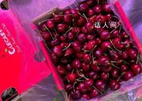 进口车厘子价格大跳水 现在货太多了价格很难起来