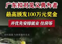 广东拟定见义勇为牺牲颁发100万元 向社会公开征求意见