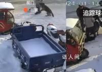 女子遛狗被恶犬咬伤 狗主人拒不赔偿