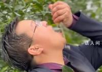 广西武鸣沃柑“橘长”魔性宣传 广西武鸣一网友为宣传沃柑拍摄了一组魔性视频