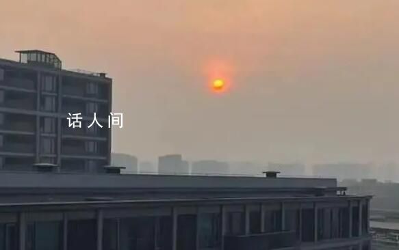 女子丧偶想再婚 儿子将其告上法院