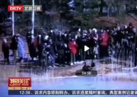 圆明园小天鹅被迫走冰致脚蹼溃烂 市民呼吁别再伤害小天鹅了